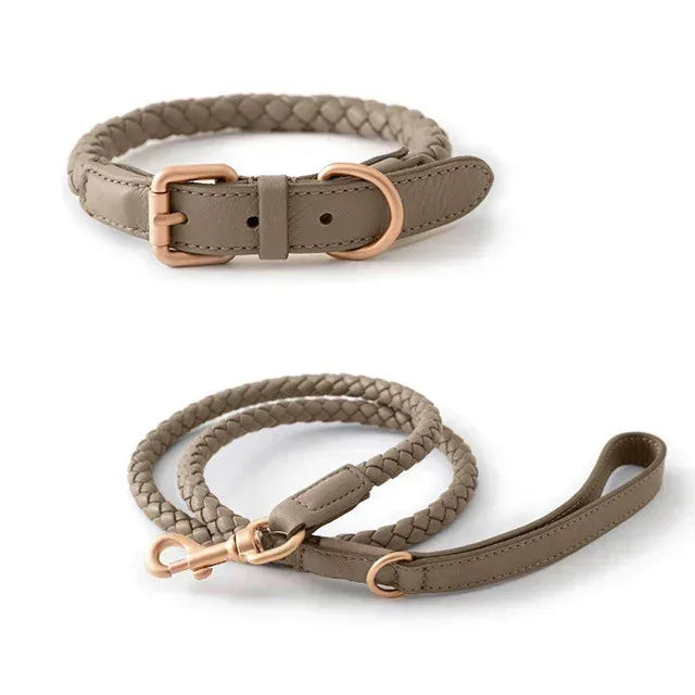 Premium Vegan Leather Dog Collar - Stylish, Sturdy & Cruelty-Free Large Dog Collar with Matching Leash Set - Pawfectly Pets