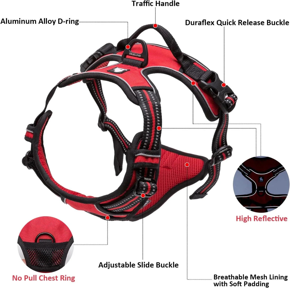 The Essential Benefits of Using a Leash Harness for Dogs - Pawfectly Pets