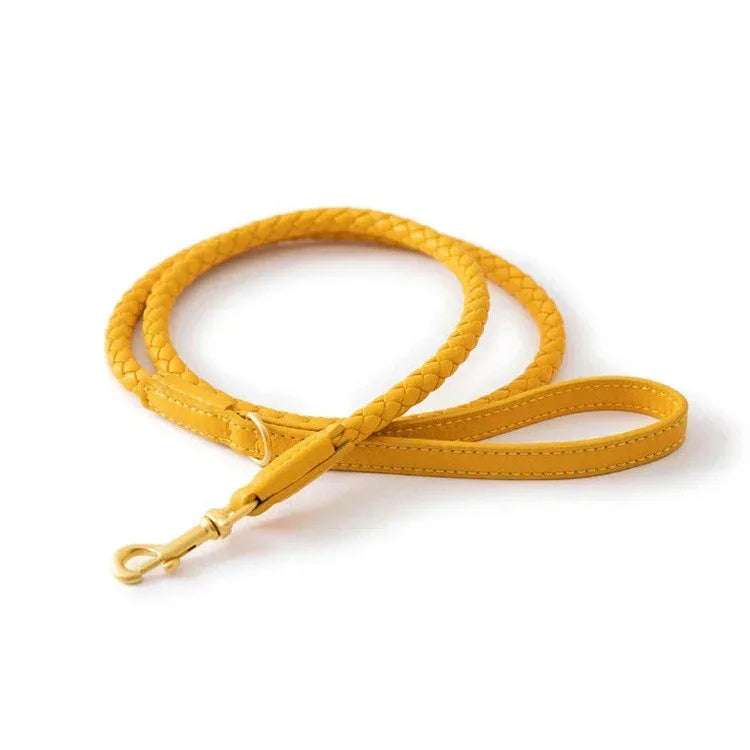 Premium Vegan Leather Dog Collar - Stylish, Sturdy & Cruelty-Free Large Dog Collar with Matching Leash Set - Pawfectly Pets