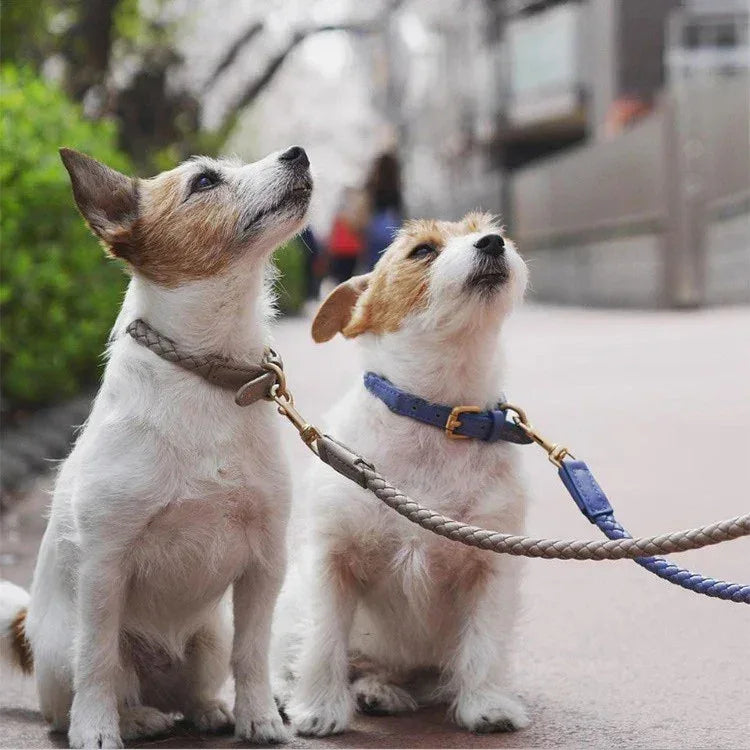 Premium Vegan Leather Dog Collar - Stylish, Sturdy & Cruelty-Free Large Dog Collar with Matching Leash Set - Pawfectly Pets