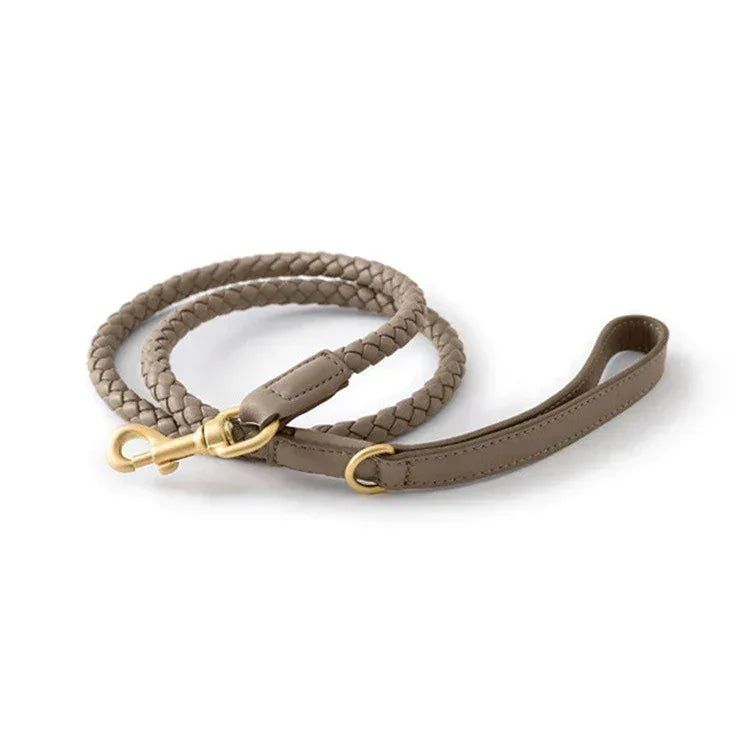 Premium Vegan Leather Dog Collar - Stylish, Sturdy & Cruelty-Free Large Dog Collar with Matching Leash Set - Pawfectly Pets