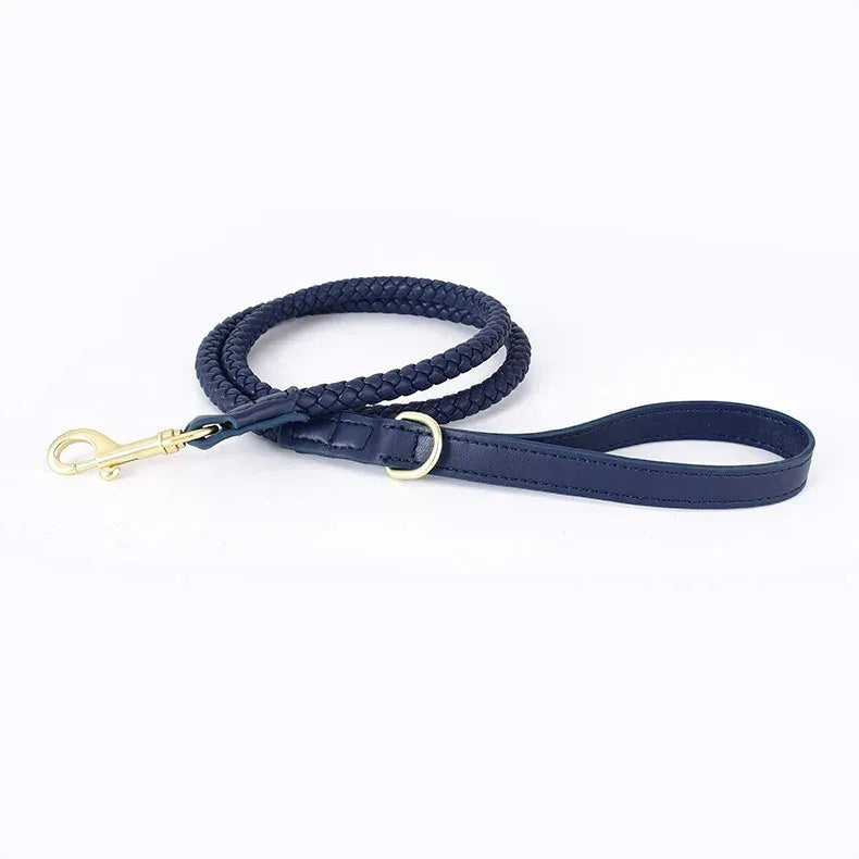 Premium Vegan Leather Dog Collar - Stylish, Sturdy & Cruelty-Free Large Dog Collar with Matching Leash Set - Pawfectly Pets