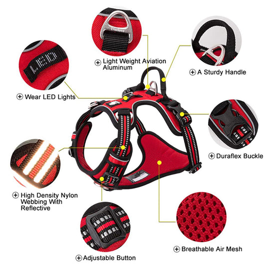 Dog Harness Designed for Calm, Confident Walks – The TrueLove Reflective Comfort Fit