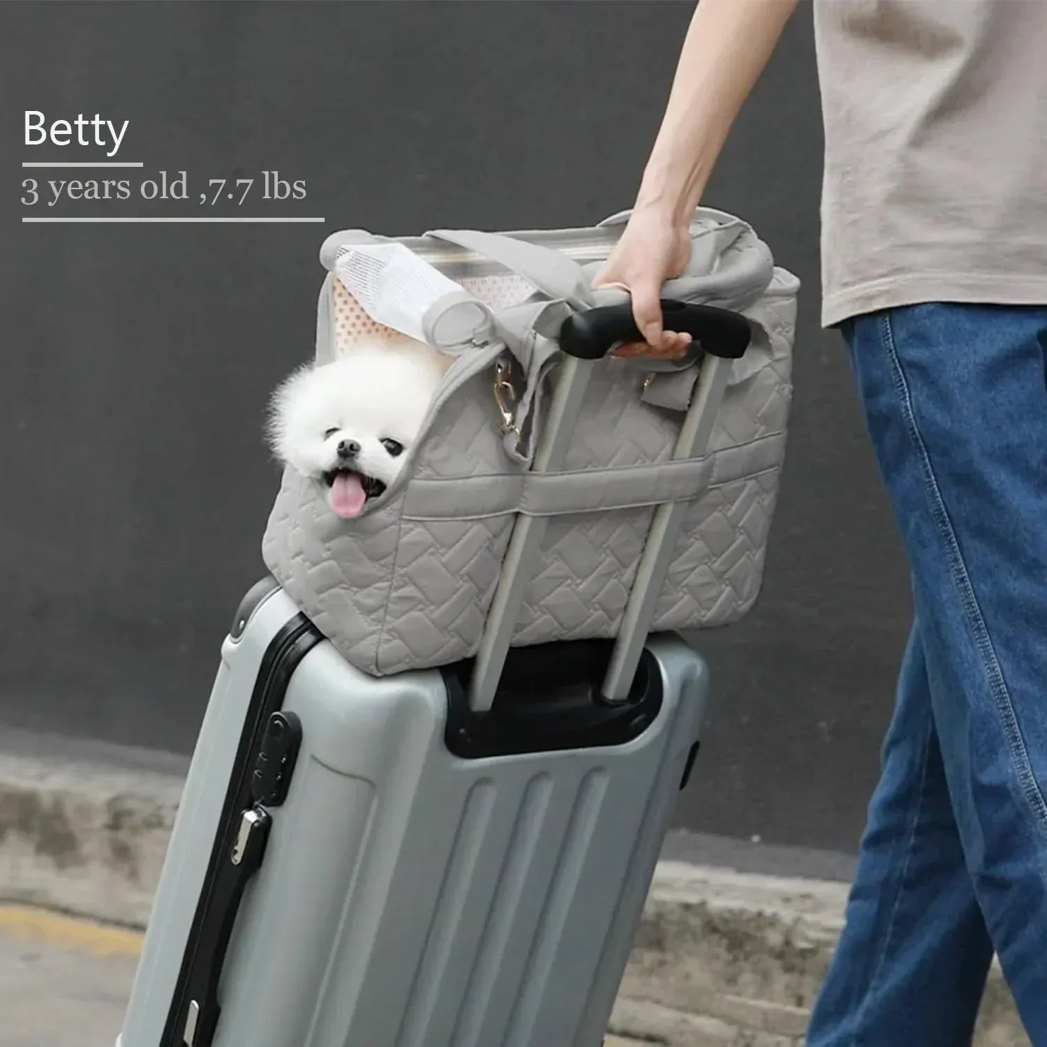 Pet Carrier Handbag - Breathable Pet Travel Bag with Mesh Ventilation for Small Dogs and Cats - Pawfectly Pets