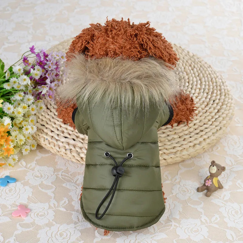 Dog wearing a green winter coat with fluffy hood on a textured surface with flowers and a teddy bear.