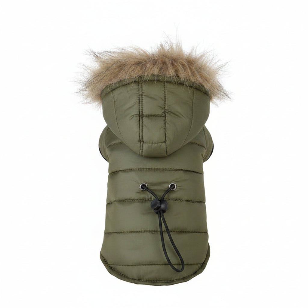 Forest green cat and dog winter coat