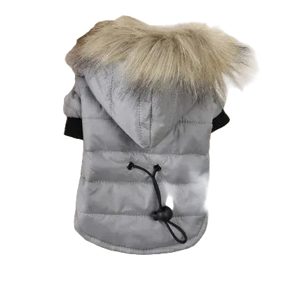Grey dog coat