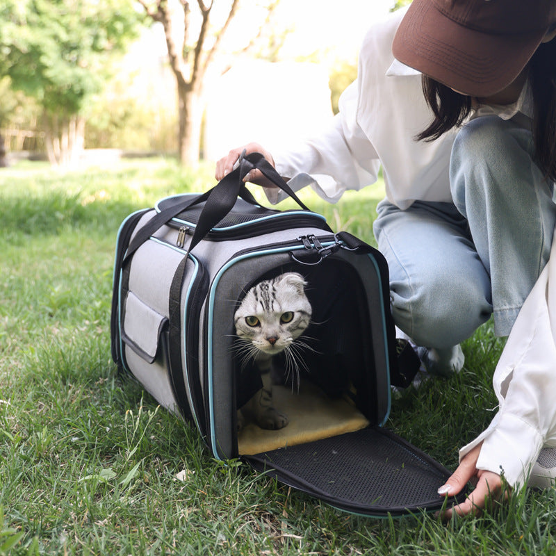 A gray and black pet carrier bag with a cat peeking out, placed on grass outdoors, with a person kneeling beside it.